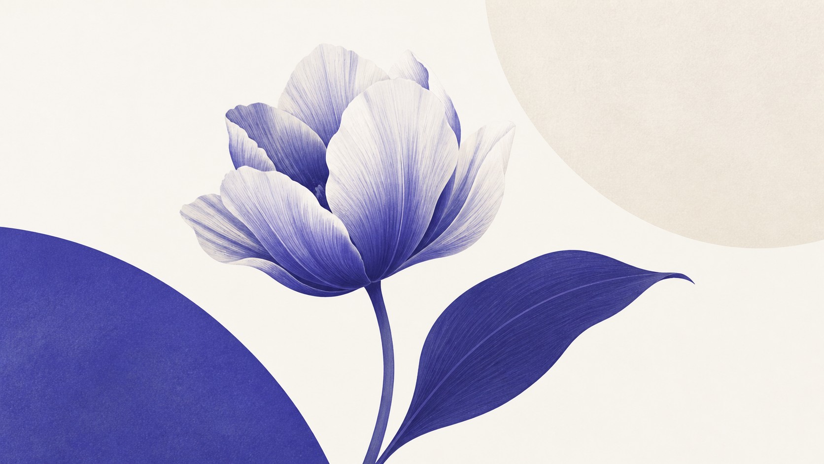 Illustrazione: fiore elegante e foglia in composizione minimalista