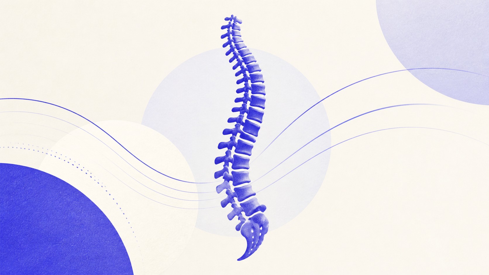 Illustrazione: schiena stilizzata con linee di movimento delicate