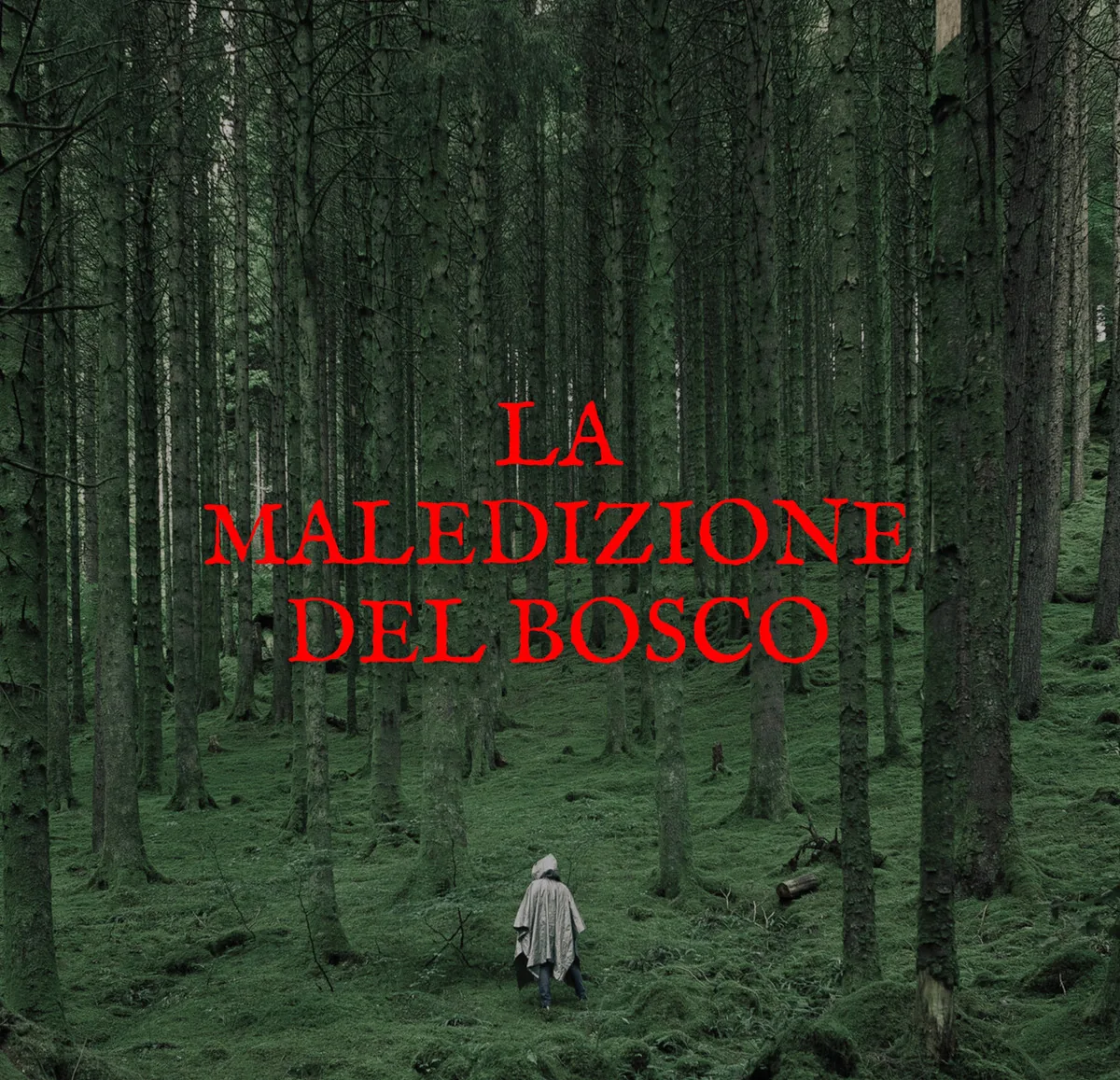 La Maledizione del Bosco, escape room all'aperto Adventura