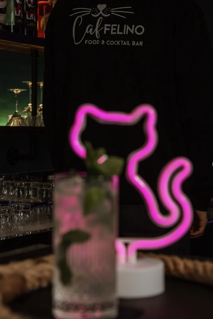 Insegna al neon a forma di gatto nell'atmosfera di Caffelino