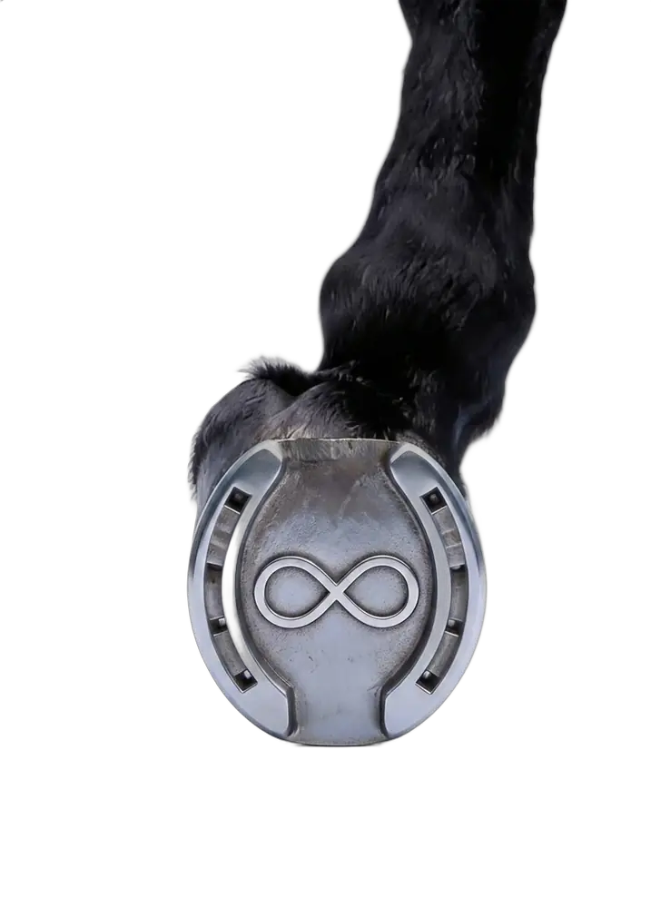 Ferro di cavallo con simbolo infinito Universe